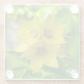 Lysimachia punctata glazen onderzetter (Achterkant)