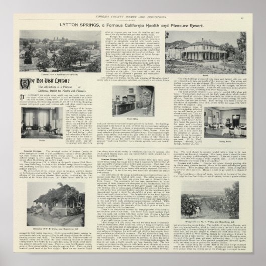 Lytton Springs, Californië Poster (Voorkant)