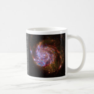 M101 mok van de wervelkolom