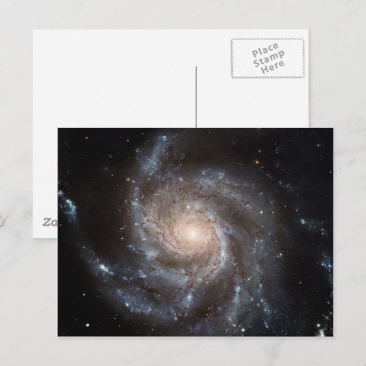 M101 Pinwheels Spiral Galaxy NASA Briefkaart (Voorkant / Achterkant)