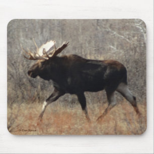 M10 Bull Moose Muismat