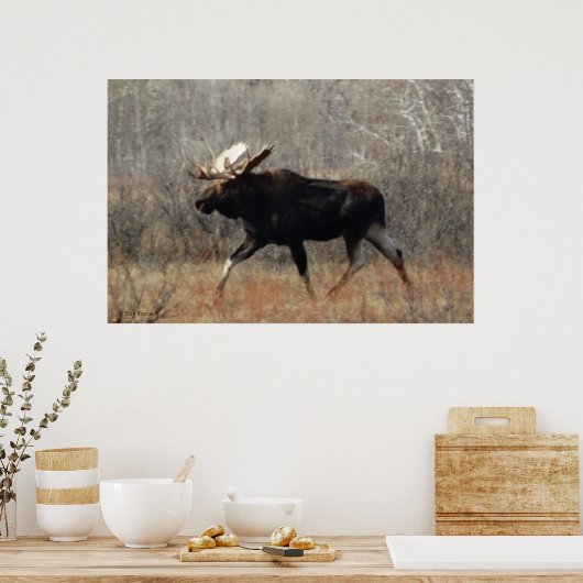 M10 Bull Moose Poster (Keuken)