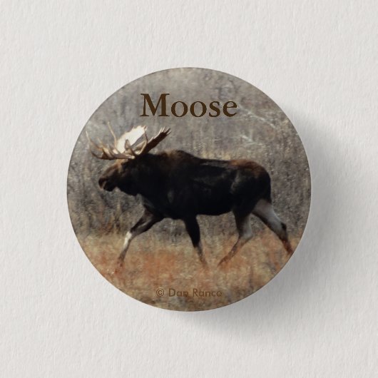 M10 Bull Moose Ronde Button 3,2 Cm (Voorkant)