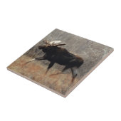 M10 Bull Moose Tegeltje (Zijkant)