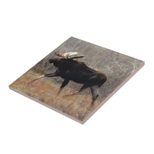 M10 Bull Moose Tegeltje (Zijkant)