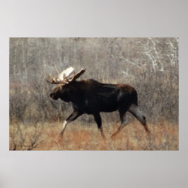 M10 Eland Poster