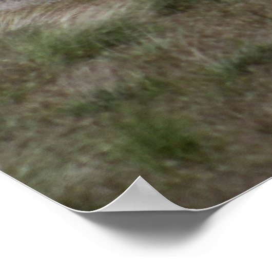 M142 HIMARS POSTER (Hoek)