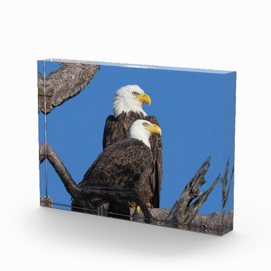 M15 & F23 - Een nieuw paar Fotoblokken (Rechts)