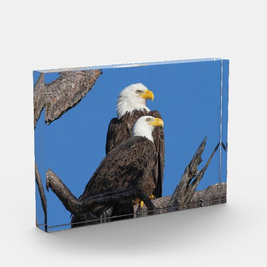 M15 & F23 - Een nieuw paar Fotoblokken (Links)