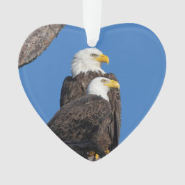 M15 & F23 Logo Vakantie Ornament