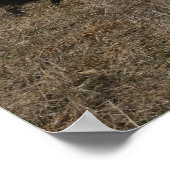 M1-A1-Abrams Poster (Hoek)