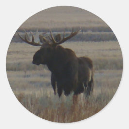 M1 Bull Moose Big Bull Ronde Sticker
