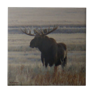 M1 Bull Moose Grote Stier Tegeltje