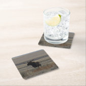 M1 Bull Moose Kartonnen Onderzetters (Insitu)