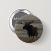 M1 Bull Moose Ronde Button 5,7 Cm (Voorkant /achterkant)