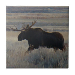 M2 Bull Moose Big Bull Tegeltje