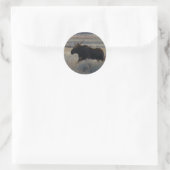 M2 Bull Moose Grote Stier Ronde Sticker (Tas)