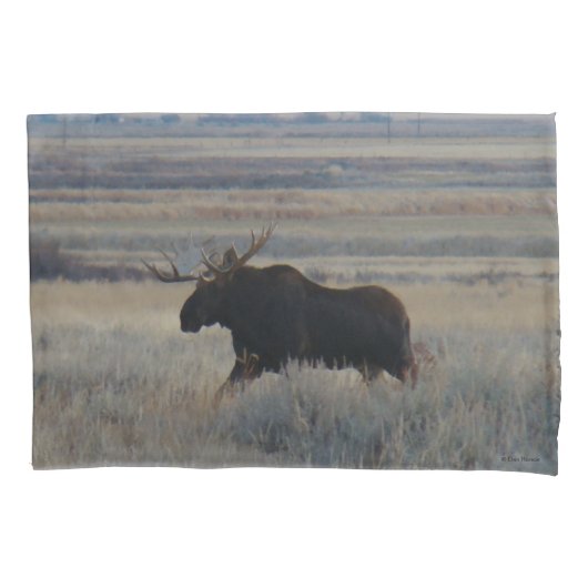 M2 Bull Moose in de Prairie Kussensloop (Voorkant)