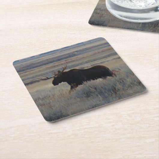 M2 Bull Moose Kartonnen Onderzetters (Schuin)
