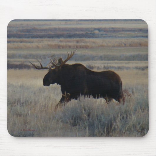 M2 Bull Moose Muismat (Voorkant)