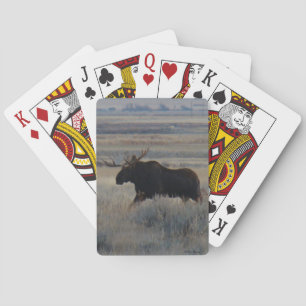 M2 Bull Moose Pokerkaarten