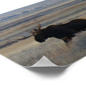 M2 Bull Moose Poster (Hoek)