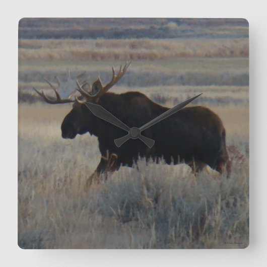 M2 Bull Moose Vierkante Klok (Voorkant)