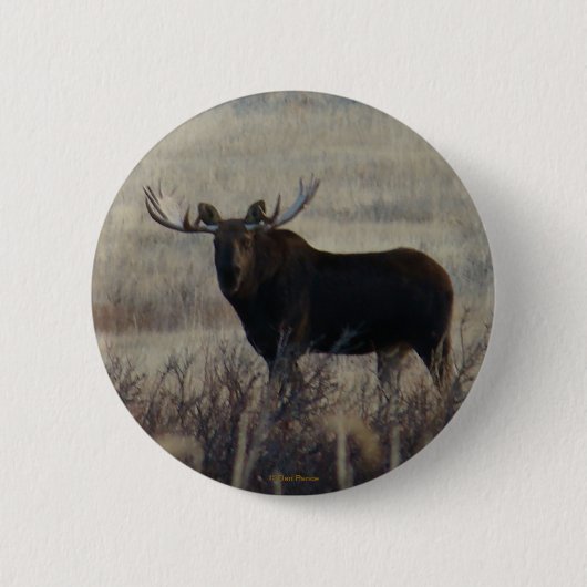 M3 Bull Moose Ronde Button 5,7 Cm (Voorkant)