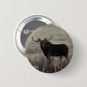 M3 Bull Moose Ronde Button 5,7 Cm (Voorkant /achterkant)