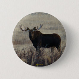 M3 Bull Moose Ronde Button 5,7 Cm