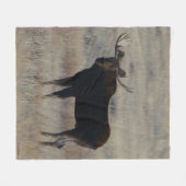 M4 Bull Moose Fleece Deken (Voorkant (Horizontaal))