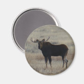 M4 Bull Moose Magneet (Voorkant / Achterkant)