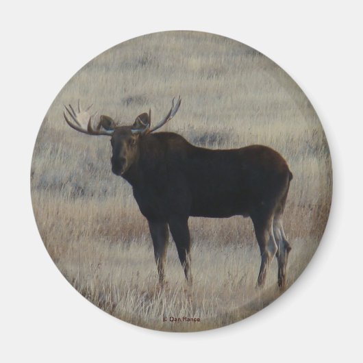 M4 Bull Moose Magneet (Voorkant)