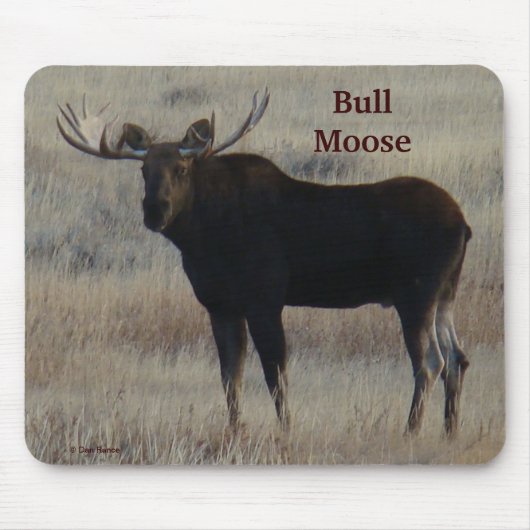 M4 Bull Moose Muismat (Voorkant)