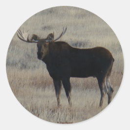 M4 Bull Moose Ronde Sticker