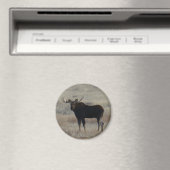 M4 Eland Magneet (Insitu (Vaatwasser))