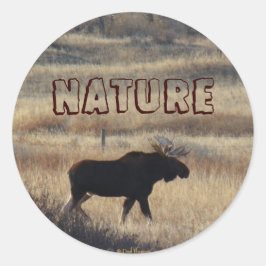 M5 Bull Moose en Sand Hills Ronde Sticker