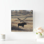 M5 Bull Moose in de zand Hills Vierkante Klok (Huis)