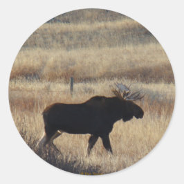 M5 Bull Moose sticker