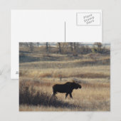M5 Eland Briefkaart (Voorkant / Achterkant)