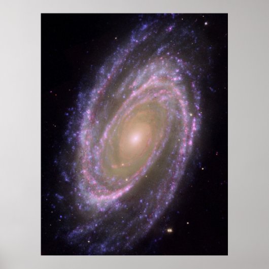 M81 Galaxy Poster (Voorkant)