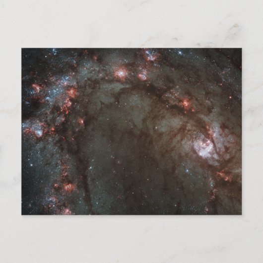M83 Spiral Galaxy NASA Briefkaart (Voorkant)