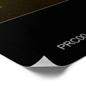 M87Jet-2000-20a Poster (Hoek)