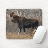 M8 Bull Moose in Scrub Brush Muismat (Met muis)