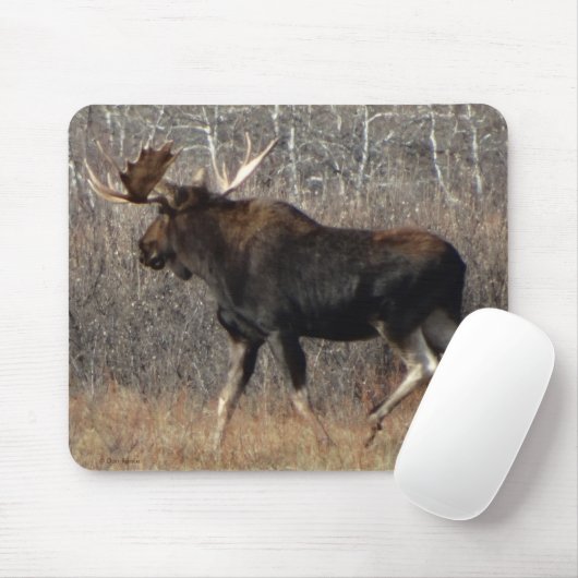 M8 Bull Moose in Scrub Brush Muismat (Met muis)