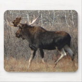 M8 Bull Moose in Scrub Brush Muismat (Voorkant)
