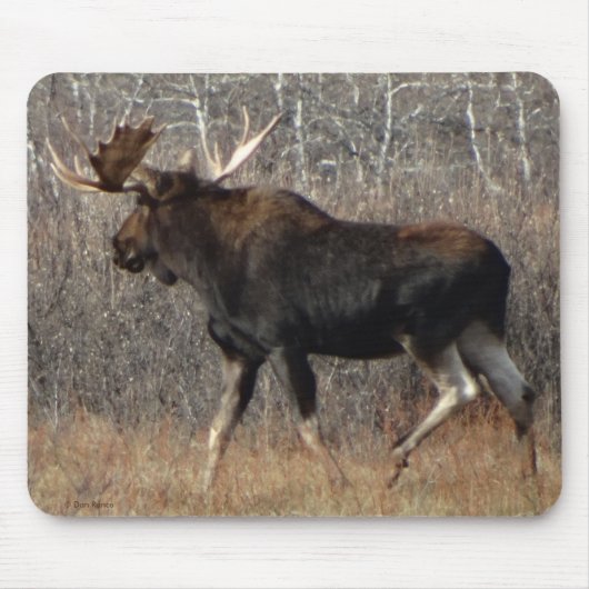 M8 Bull Moose in Scrub Brush Muismat (Voorkant)