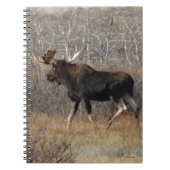 M8 Bull Moose in Scrub Brush Notitieboek (Voorkant)