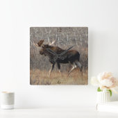 M8 Bull Moose Vierkante Klok (Huis)