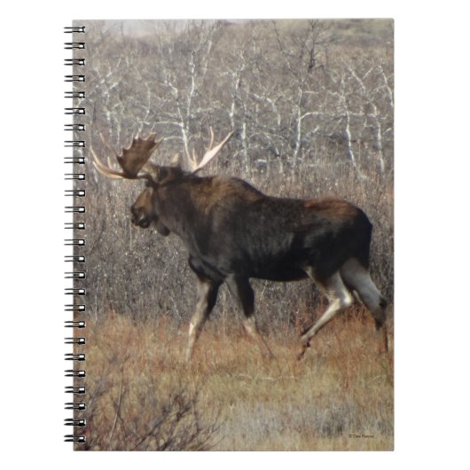 M8 Eland in Struikgewas Notitieboek (Voorkant)